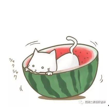 动漫 吃瓜头像,揭秘幕后那些事儿