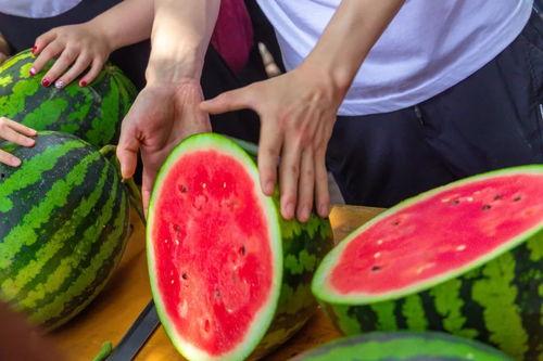 合肥学校最新吃瓜事件,揭秘校园风云再起！