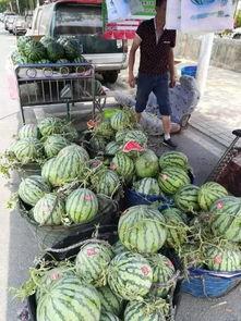 合肥学校最新吃瓜事件,揭秘校园风云再起!