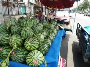 合肥学校最新吃瓜事件,揭秘校园风云再起!