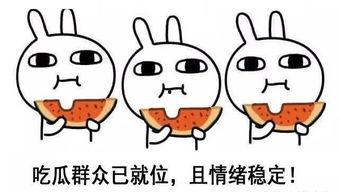 吃瓜表示比较闲吗,闲适生活下的娱乐态度