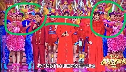 晚会事件吃瓜,吃瓜群众如何成为舆论焦点