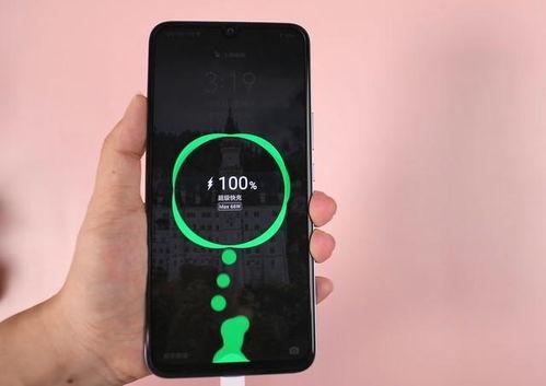 nova8吃瓜,揭秘娱乐圈最新热点事件