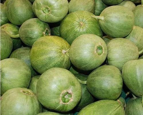 贵州现在吃的什么瓜,探寻当地特色瓜类美食之旅