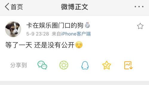 吃瓜爆料情侣,揭秘吃瓜群众爆料的情侣真相