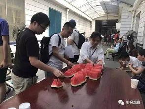 成都吃瓜群众图片,一图览尽麻辣生活百态