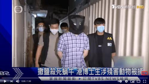 全体吃瓜配音,趣味横生的声音盛宴