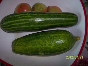 吃瓜江西工业,吃瓜群众眼中的崛起与变革