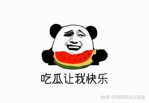 吃瓜群众都有瓜